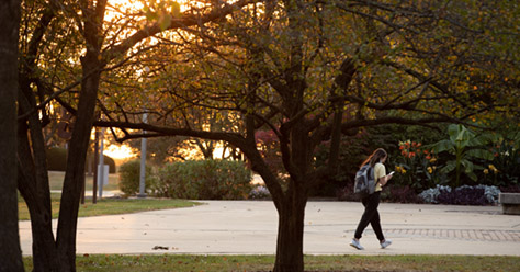 Endowed Scholarships